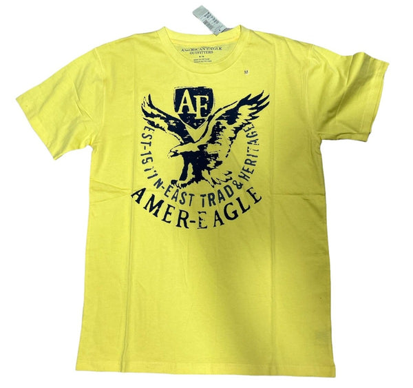 American Eagle Men's Athletic Fit T-shirt