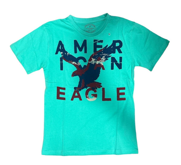 American Eagle Men's Athletic Fit T-shirt