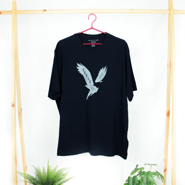 American Eagle MEN T-shirt