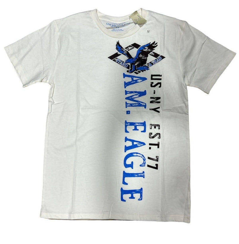 American Eagle Men's Athletic Fit T-shirt