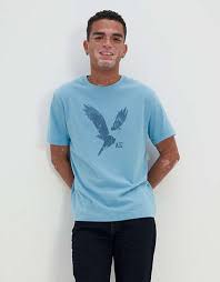 AMERICAN EAGLE Logo Print Crew-Neck MEN T-Shirt