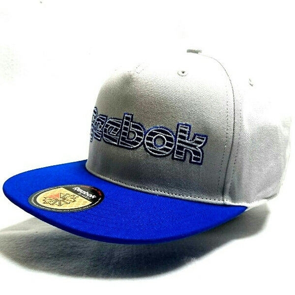 Reebok CLASSIC Skater Cap gray×blue