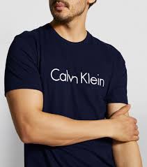 CALVIN KLEIN CARBON NAVY BRUSH LOGO T-SHIRT