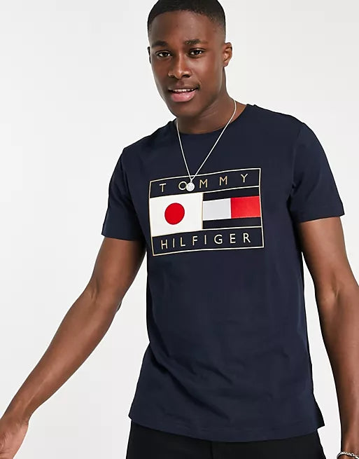 Tommy Hilfiger japan tokyo flag graphic t-shirt Dark gray