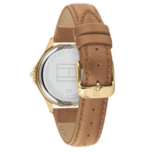 Tommy Hilfiger Ladies Brown Leather Strap Champagne Dial Watch