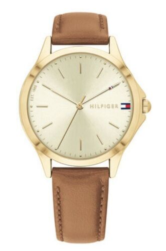 Tommy Hilfiger Ladies Brown Leather Strap Champagne Dial Watch